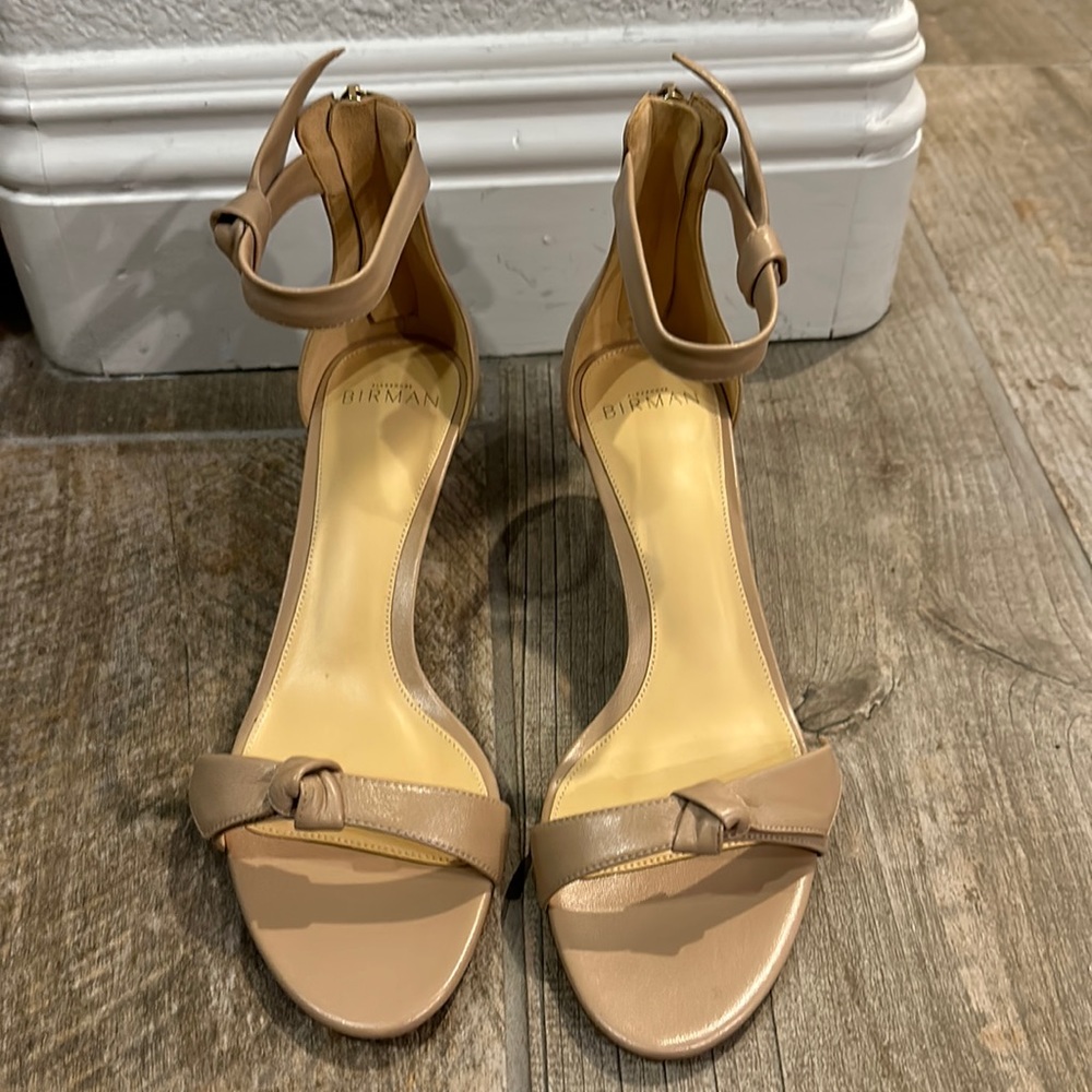 Brand new Alexander Birman Tan Heels